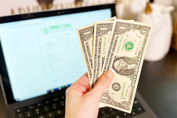 Pinecone Research Pays $3 for EVERY Survey (Easy Way to Make Extra Cash for the Holidays!)