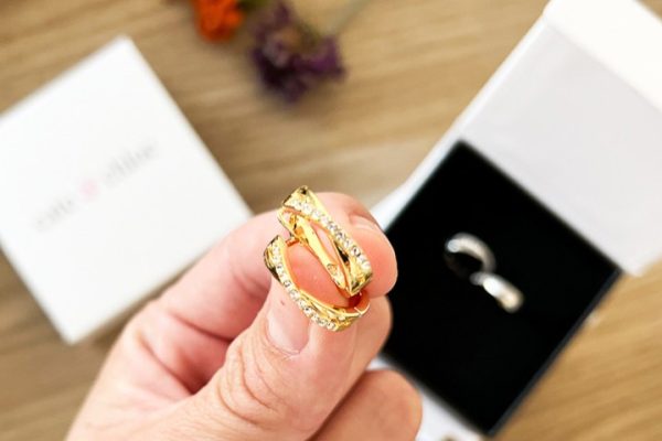 Cate & Chloe Swarovski Crystal Hoop Earrings JUST $17.85 Shipped (Includes a Gift Box!)