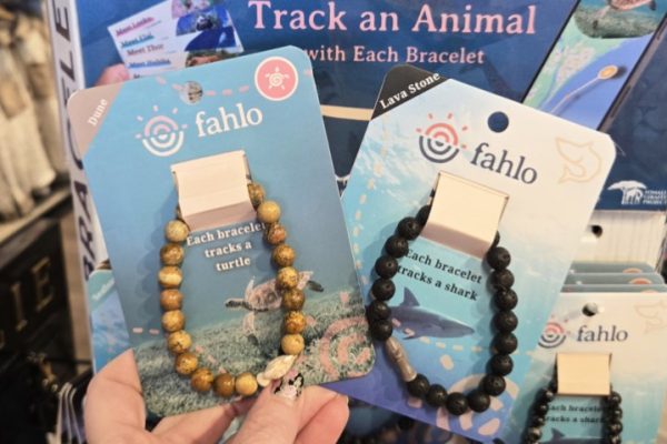 Buy 1, Get 1 FREE Fahlo Animal Tracking Bracelets