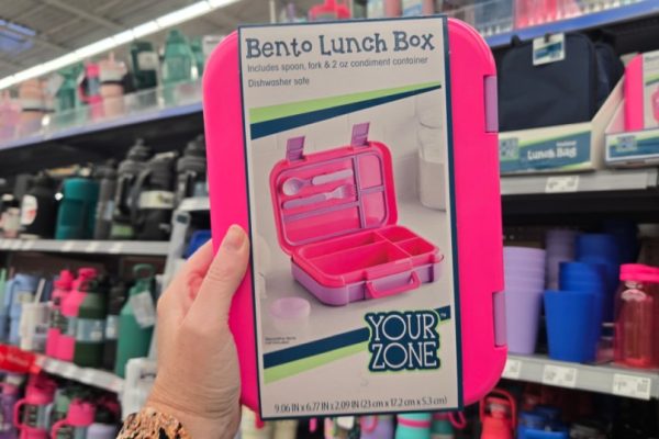Bento Lunch Box Only $6.98 at Walmart – Includes Utensils & Condiment Container (Bentgo Alternative)