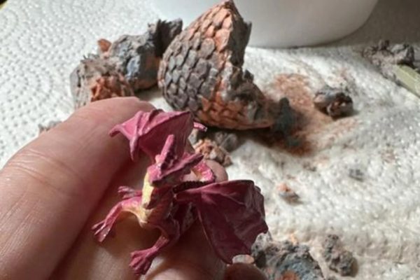 *HOT* Dino Egg Excavation Kit Only $2 on Walmart.com