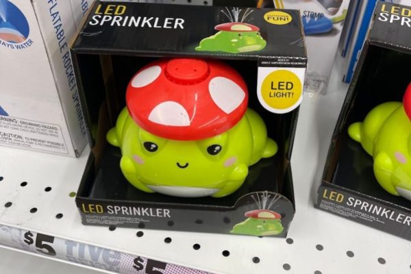 Our 13 Favorite New Items at Five Below: Sprinklers, Tumblers & More