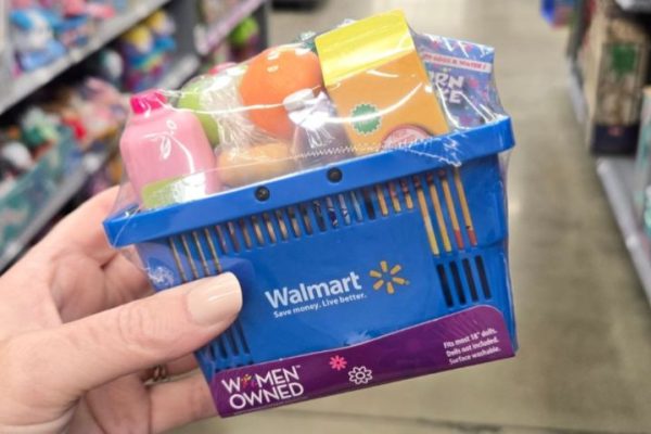 My Life As Walmart Shopping Basket Only $9.82 – Includes 15 Accessories!